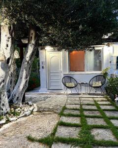 Zahrada ubytování Olive tree house,Agios Gordios