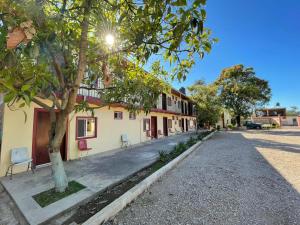 a building with a tree next to a street at Meson La Huerta in Mascota