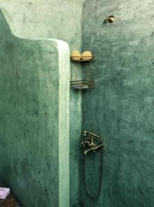 a shower in a green bathroom with a hose at Rose Hedge: mountain rustic cottage in Kamariótis