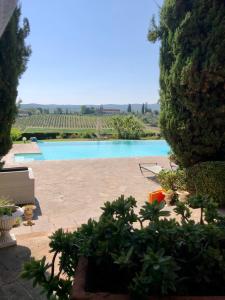 - une vue sur la piscine depuis une cour arborée dans l'établissement Tenuta di Corsano, à Monteroni dʼArbia