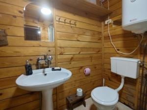 a bathroom with a white sink and a toilet at Domek w lesie in Aleksandrów