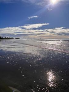 Elle offre une vue sur une plage où le soleil réfléchit sur l'eau. dans l'établissement Sumner Bay Motel, à Christchurch