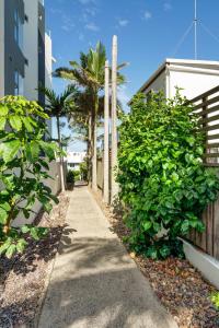un trottoir à côté d'un bâtiment avec des palmiers dans l'établissement Seaside Serenity - Apartment Ocean Views, à Caloundra