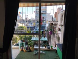 vista su una camera con finestra con piante di Verde Almagro dos cuartos a Buenos Aires