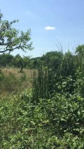 Paesaggio naturale nelle vicinanze dell'affittacamere