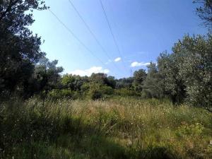 Paesaggio naturale nelle vicinanze dell'affittacamere