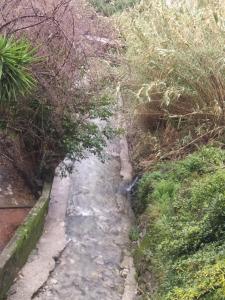 Giardino di MEDINA