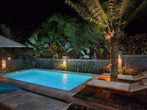 a swimming pool with a palm tree in a yard at Bali Village Villa in Perean
