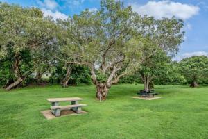 dos mesas de picnic en un parque con un árbol en Tasman Holiday Parks - Fisherman's Beach, en Emu Park
