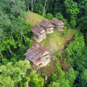 uma vista aérea de uma casa na floresta em LOVELY JUNGLE LODGE & JUNGLE TREKING only book with us em Bukit Lawang