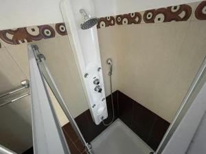 a shower in a small bathroom with a toilet at Alice Maisonette & Studios in Adamantas