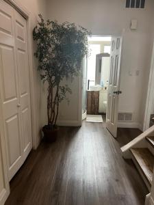 a hallway with a potted plant and a door at Sweet Home in Toronto