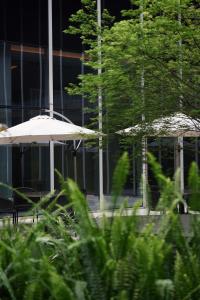 twee witte paraplu's voor een gebouw bij AC Hotel by Marriott Chengdu North in Chengdu