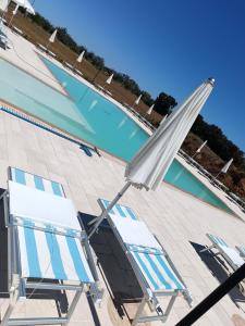 The swimming pool at or close to Masseria Cricelli
