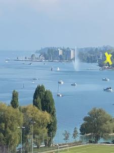 - Vistas a una gran masa de agua con barcos en Ferienhaus BMB mit Blick auf den Bodensee und Konstanz en Bottighofen