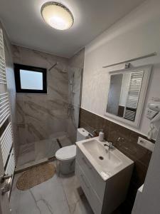 a bathroom with a white toilet and a sink at Casa Croitoru Maramureş in Onceşti +11 photos