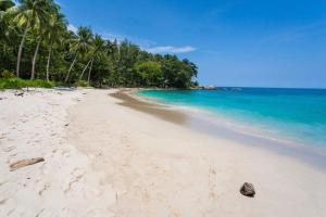 a beach with a group of palm trees and the ocean at Scenic sea view Apt near 3 beaches in South Patong in Patong Beach +7 photos