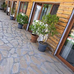 Mynd úr myndasafni af mood hotel kazbegi garden í Kazbegi