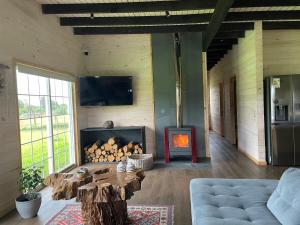 TV a/nebo společenská místnost v ubytování Cabaña Azul