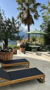 a park with two benches and a green umbrella at L'Alba di Suffia Chb Double in Venaco