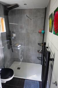 une douche avec une porte vitrée dans une salle de bain dans l'établissement Le Bella Vista, vue panoramique lac & montagne, à Saint-Jorioz