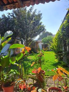 a garden with flowers and plants in a yard at Jardín de Stela Hotel in Antigua Guatemala