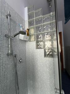 baño con ducha con paneles de cristal transparente en Matilda’s Apartment, en Strambino