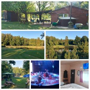 a collage of pictures of a backyard and a pool at Pirts,kubls,,Saknēs,, in Talsi