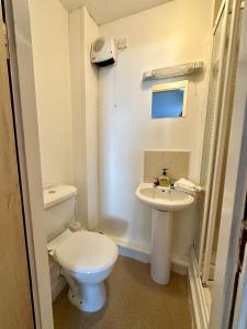 bagno bianco con servizi igienici e lavandino di Bridge View Apartment a Waterford
