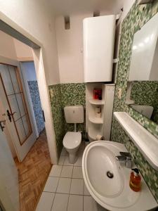 La salle de bains est pourvue d'un lavabo blanc et de toilettes. dans l'établissement Guesthouse Mozart - Apartment House, à Salzbourg