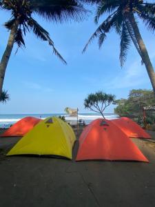 eine Gruppe von Sonnenschirmen an einem Strand mit Palmen in der Unterkunft Sewa Tenda Pantai Madasari in Madasari