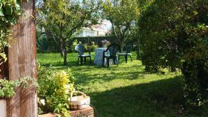a group of chairs sitting around a table in a yard at Casa Benjamín in Oviedo