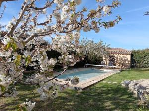 una piscina in un cortile con un albero fiorito di Le Petit Mas des Hauts de Beyssan, Maison de vacances avec piscine privative pour 2 personnes a Gargas