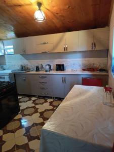 Kuhinja ili čajna kuhinja u objektu Guest House in Zhabeshi Lali