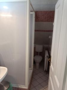 La salle de bains est pourvue de toilettes et d'un lavabo. dans l'établissement Katerina Vendégház, à Tihany
