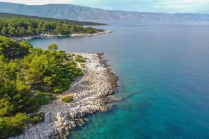 an aerial view of a rocky island in the water at Dragana in Basina