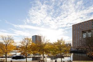 鹿特丹的住宿－Luxurious Harbour Loft d'Ouwe Moer，城市天际线,有建筑和树木,有河流