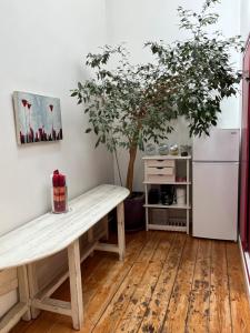 un banc en bois dans une cuisine avec une plante dans l'établissement Le Loft, l'annexe, à Lorient