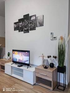 TV a/nebo společenská místnost v ubytování Imperija