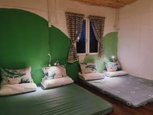 2 camas en una habitación con paredes verdes en Nấp ở TEEPEE homestay en Da Lat