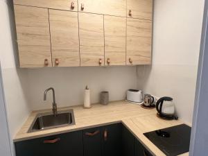 a kitchen with a sink and wooden cabinets at Bazilika View in Budapest +2 photos