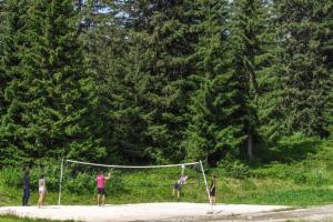 Belambra Clubs Les Saisies - Les Embrunes - Ski pass included في Villard-sur-Doron: مجموعة من الناس يلعبون كرة الطائرة في الحديقة