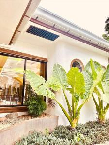 a house with plants in front of a building at Tahan Hostel in Puerto Princesa City