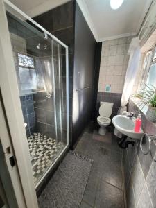 a bathroom with a shower and a toilet and a sink at 29B Zebra Street - InHimwe Guesthouse in Polokwane