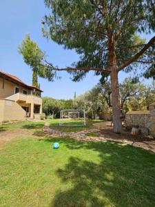 Photo de la galerie de l'établissement Orestis' Family House, à Hermione 13 autres photos