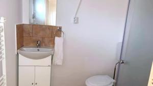 a bathroom with a sink and a toilet at Căsuțele Camping AliMar in Tîrsa +28 photos