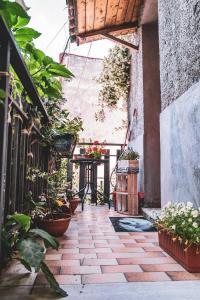 een patio met potplanten en een tafel bij Casina Carina in Alatri