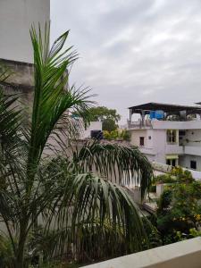 a palm tree in front of a building at Hotel Heritage High in Udaipur +26 photos