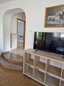 TV a/nebo společenská místnost v ubytování Apartma Mihatovi