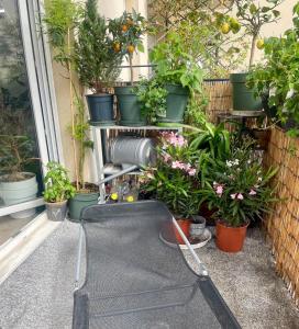 Une bande de plantes en pot sur un rebord de fenêtre dans l'établissement 2 pièces terrasse au cœur de St Ouen proche sites JO, tout confort free WIFI, à Saint-Ouen